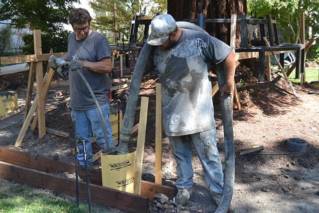 Preserving our 100 Year Old Redwood Tree - Charles M. Schulz Museum